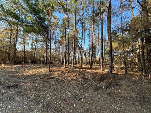 Land for sale in Carriere, Mississippi