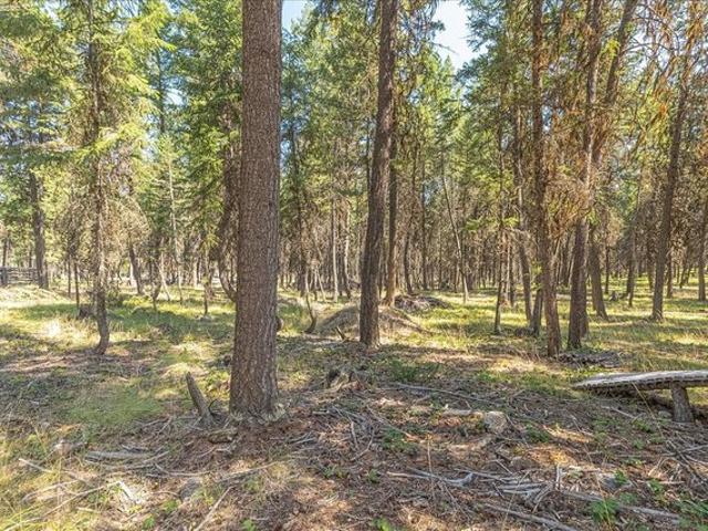 Land for sale in Rexford, Montana