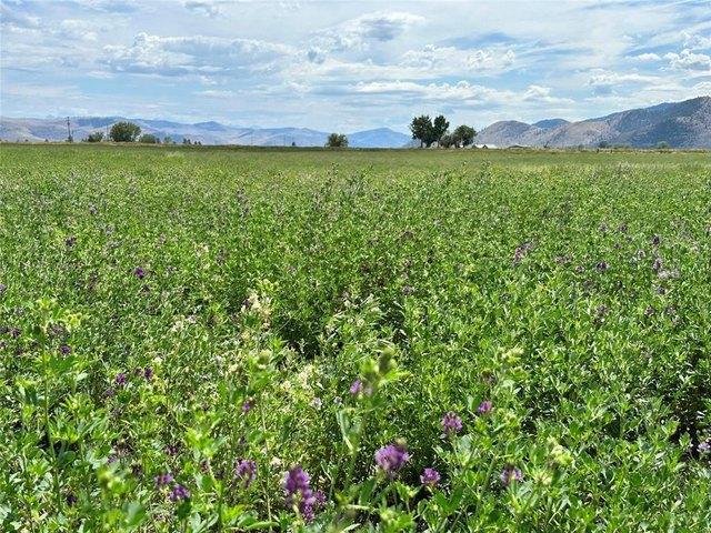 Land for sale in Sanders, Montana