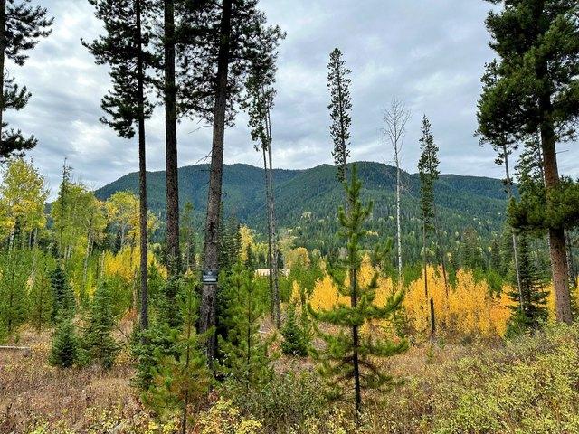 Land for sale in Montana