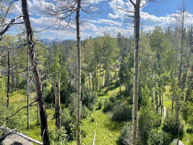 Land for sale in Butte, Montana