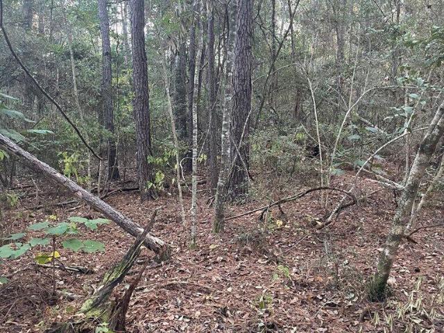 Land for sale in Carriere, Pearl River County