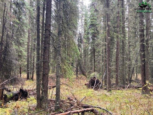 Land for sale in Fairbanks