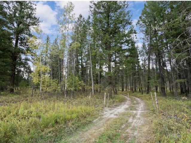 Land for sale in Fortine, Montana