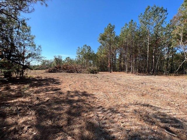 Land for sale in Picayune, Mississippi