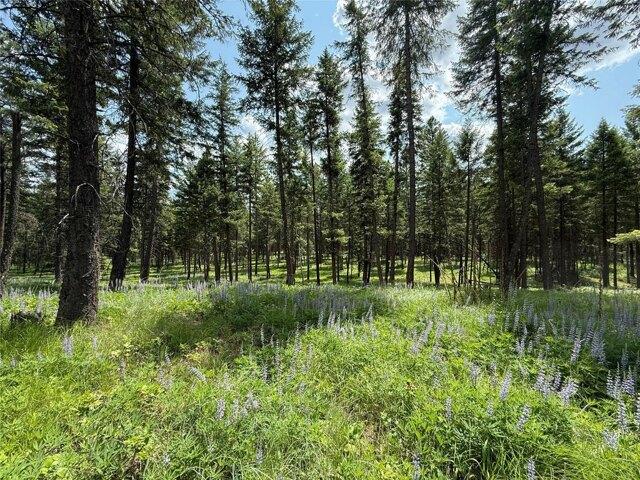 Land for sale in Troy