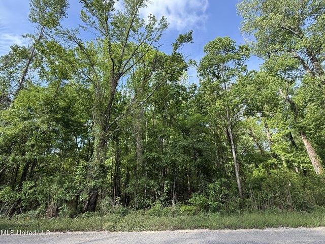 Land for sale in Lucedale, Mississippi