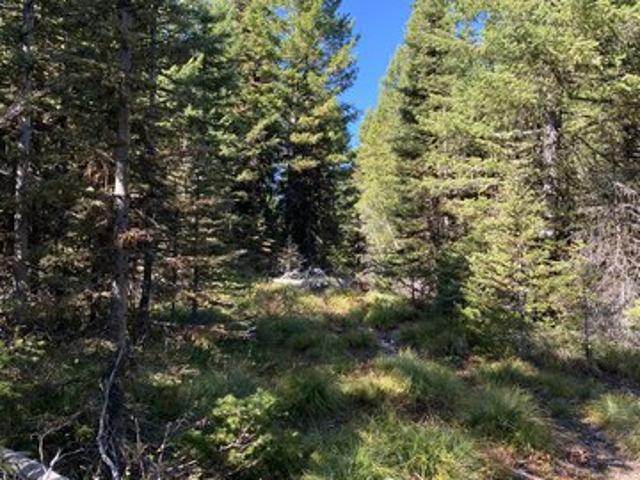 Land for sale in Frenchtown, Montana