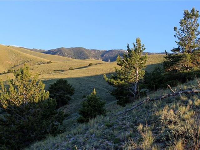 Land for sale in Belfry, Montana