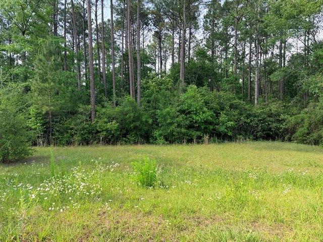 Land for sale in Carriere, Mississippi
