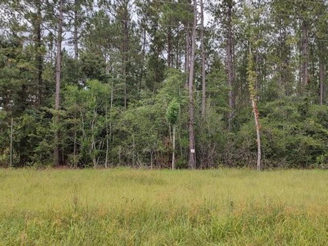 Land for sale in Picayune, Mississippi