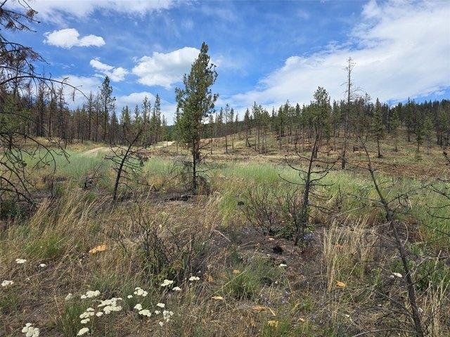 Land for sale in Sanders, Montana