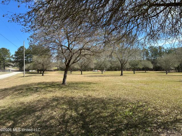 Land for sale in Poplarville, Mississippi