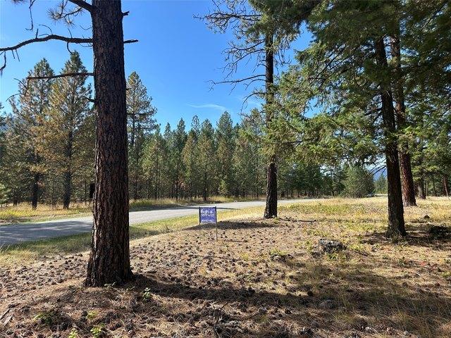Land for sale in Thompson Falls, Sanders County
