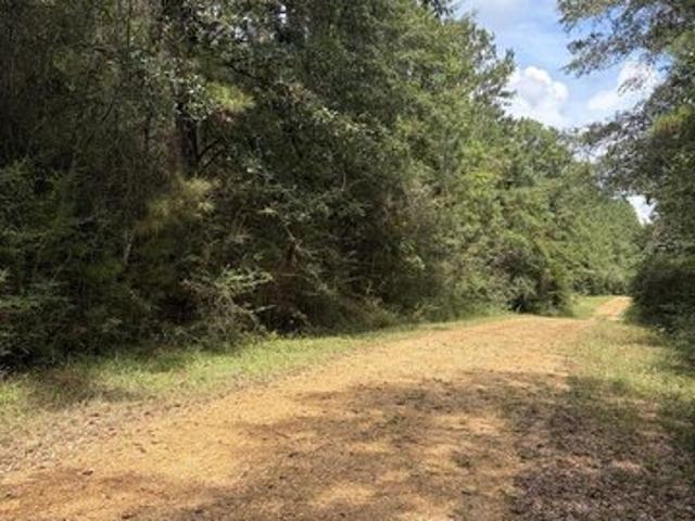 Land for sale in Poplarville, Mississippi