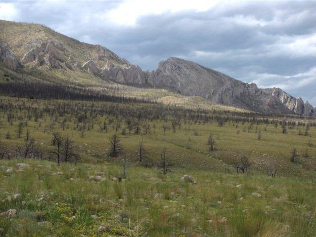 Land for sale in Belfry, Montana