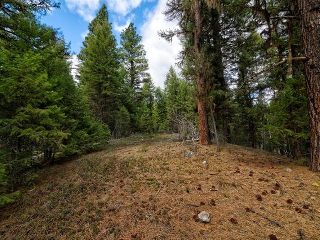 Land for sale in Ravalli, Montana