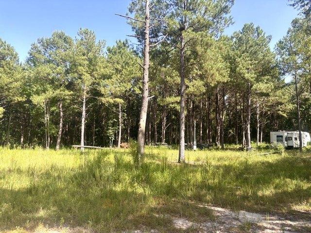 Land for sale in Poplarville, Mississippi