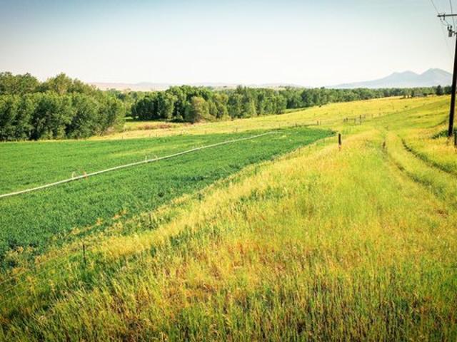 Land for sale in Wilsall, Montana