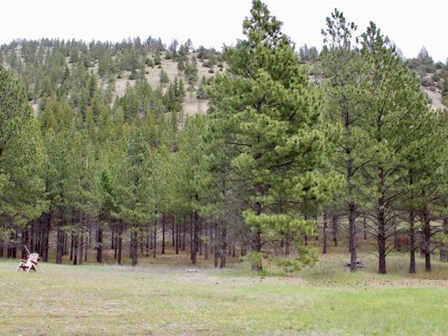 Land for sale in Lolo, Montana