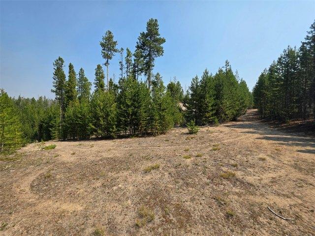 Land for sale in Butte, Montana