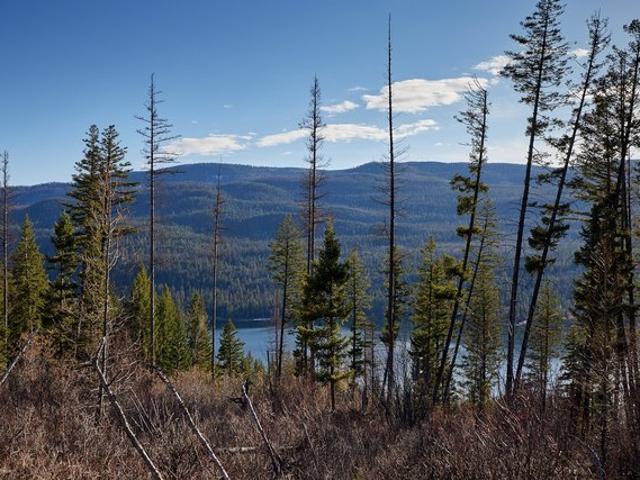 Land for sale in Bigfork, Montana