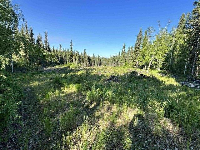 Land for sale in Fairbanks