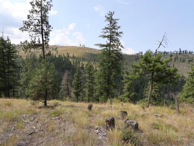 Land for sale in Sanders, Montana