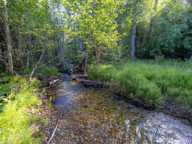 Land for sale in Columbia Falls, Montana