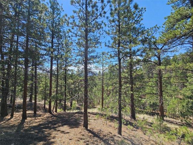 Land for sale in Cascade, Montana