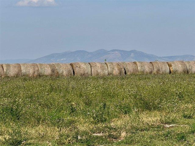 Land for sale in Moore, Montana