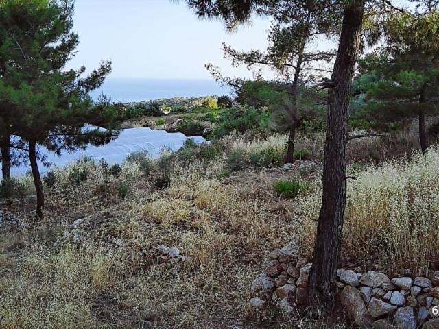 Kumluca, Antalya içerisinde satılık Arsa