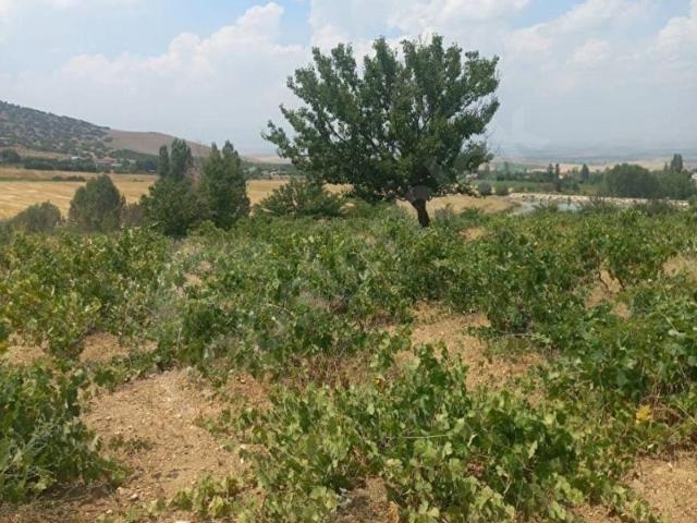Niğde içerisinde satılık mülk