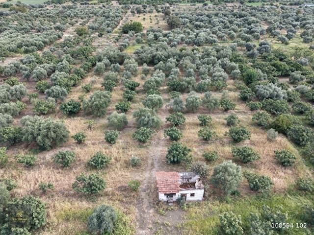 Gencellidere, Kuyucak içerisinde satılık Arsa