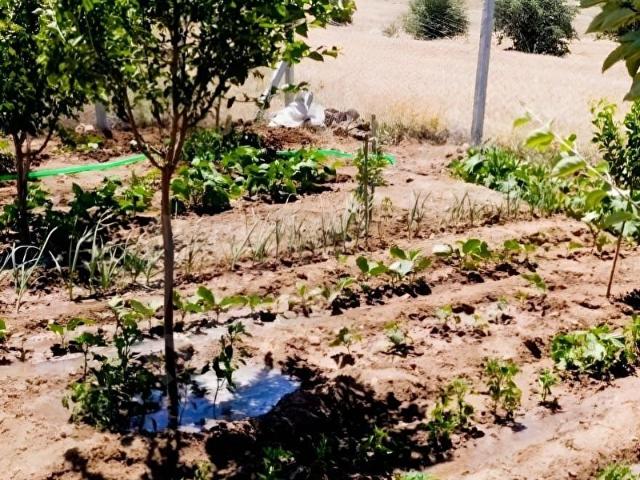 Bayat, Meram içerisinde satılık Arsa