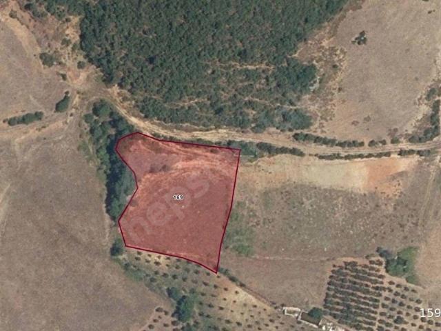 İznik, Bursa içerisinde satılık Arsa