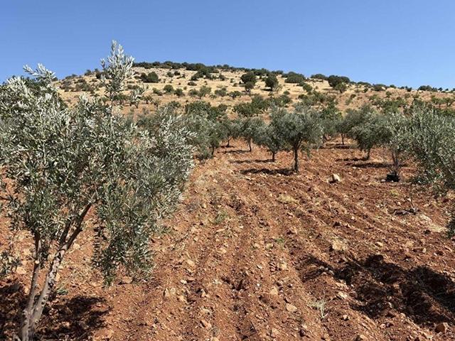 Nizip, Gaziantep içerisinde satılık Arsa
