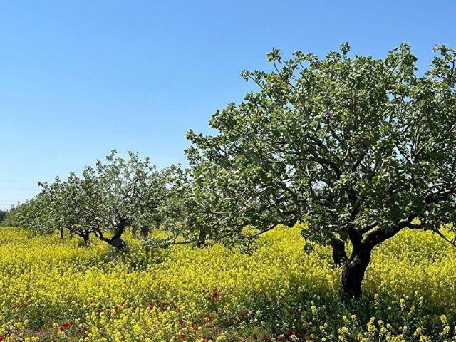 Nizip, Gaziantep içerisinde satılık mülk