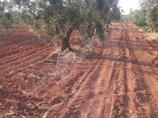 Nizip, Gaziantep içerisinde satılık mülk