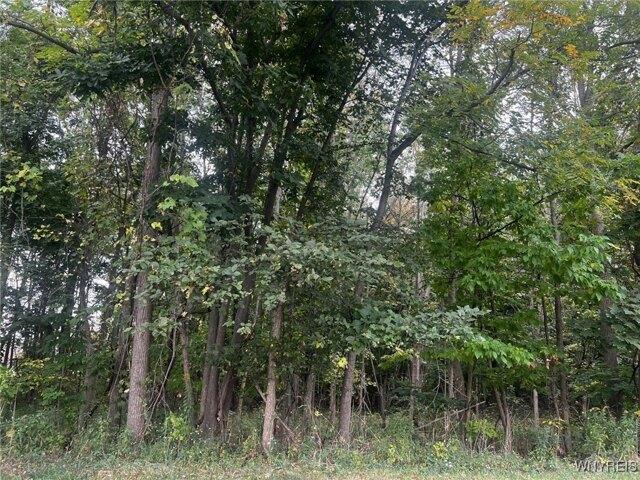 Land for sale in Lockport