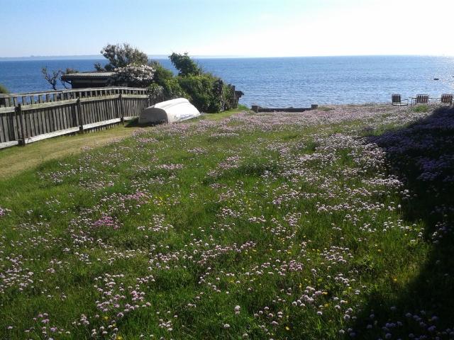 Lägenhet hyra i Viken, Skåne