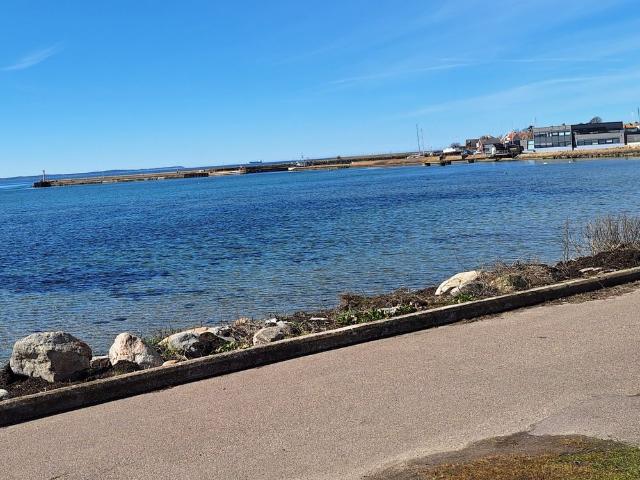 Lägenhet hyra i Viken, Skåne