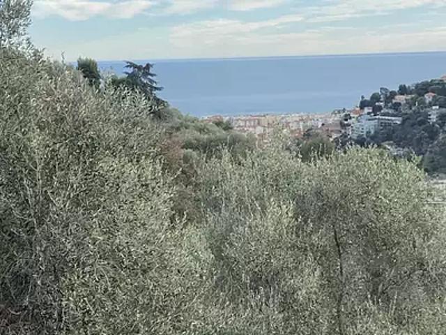 Maison vente à Nice