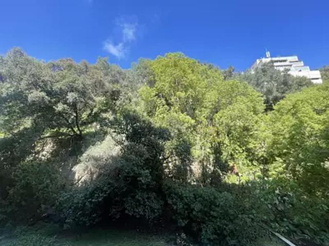 Appartement vente à Nice