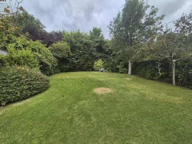 House to rent
