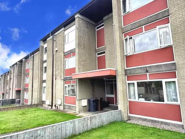 House to rent