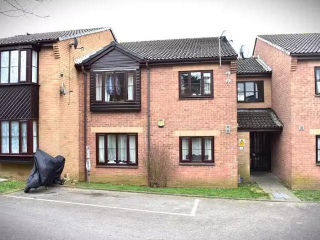 Apartment for rent