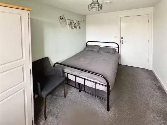 House for rent