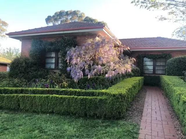 House for rent in Narrabundah, Australian Capital Territory