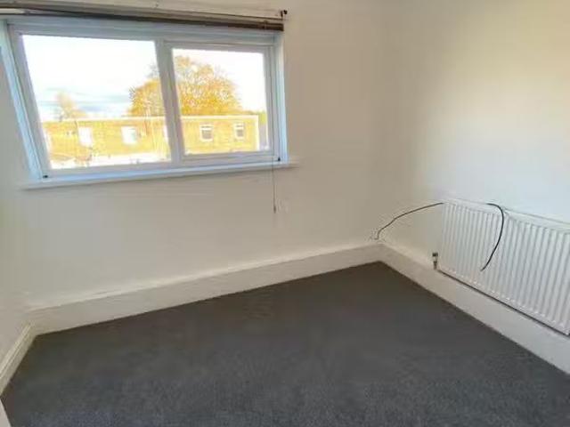 House for rent